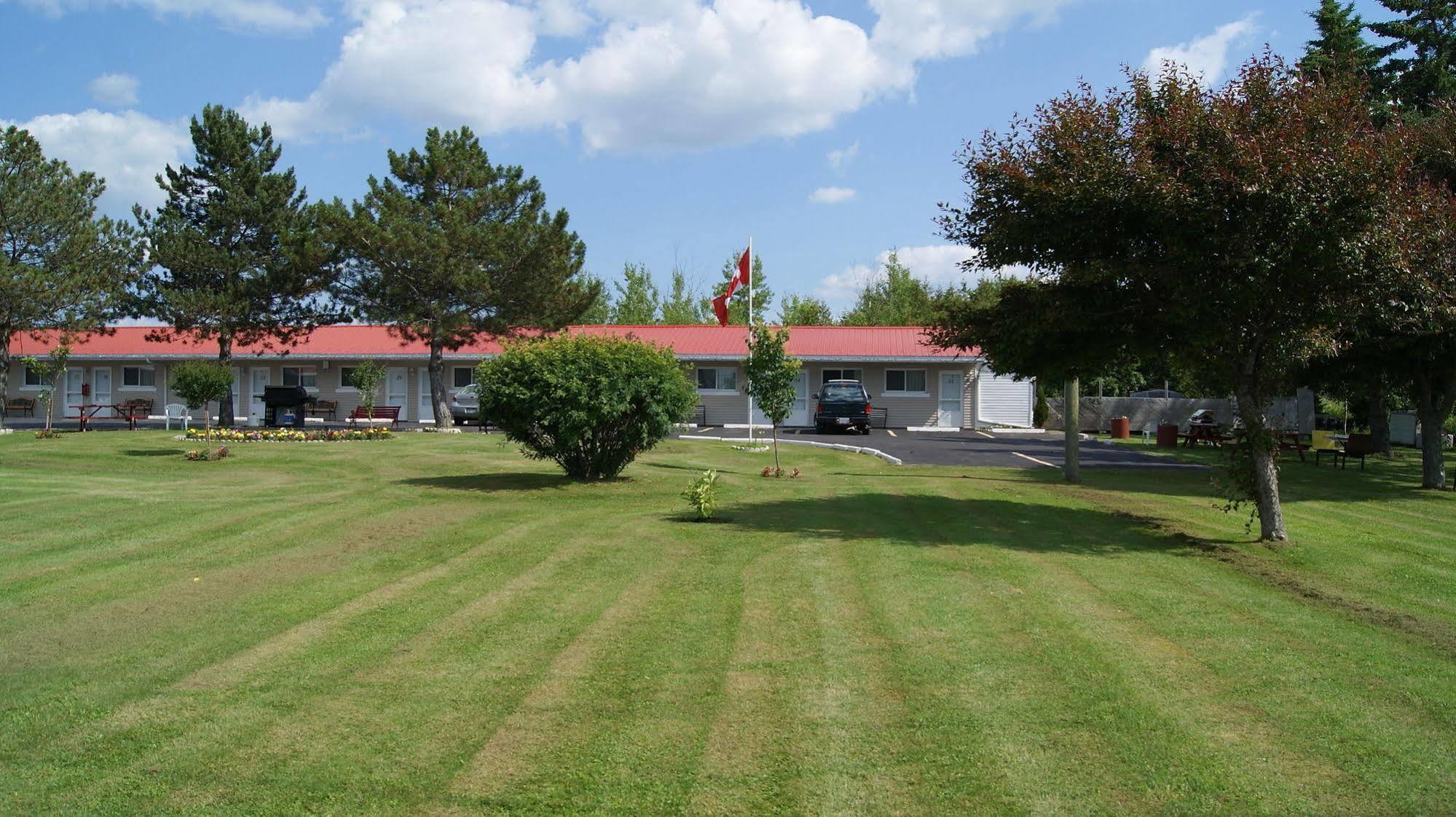 Blue Jay Motel ปีเตอร์บอร์โรว์ ภายนอก รูปภาพ